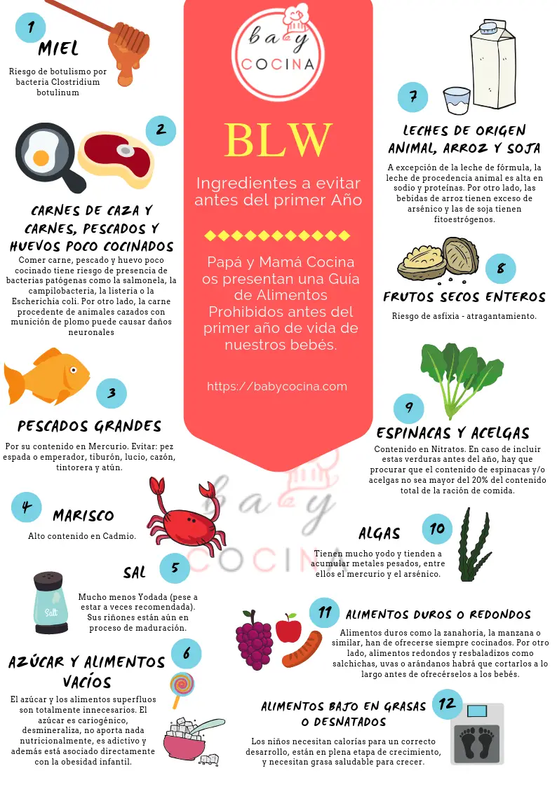 Alimentos Prohibidos BLW