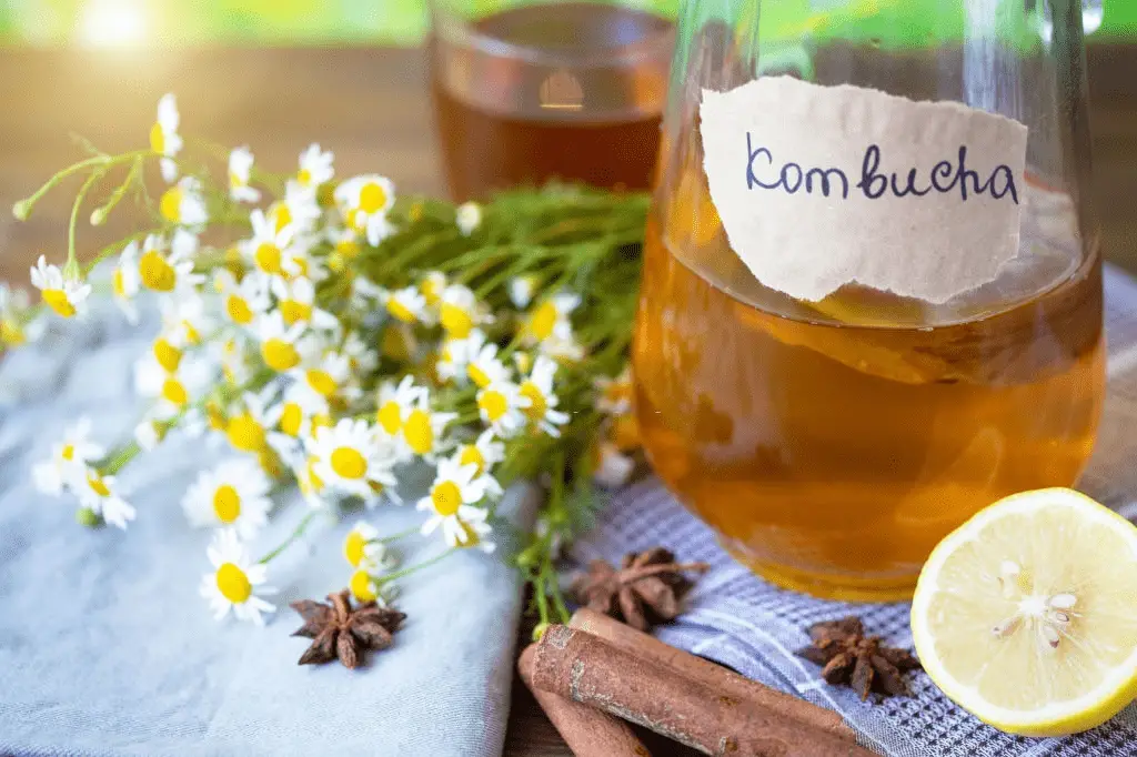 Beneficios del té de kombucha
