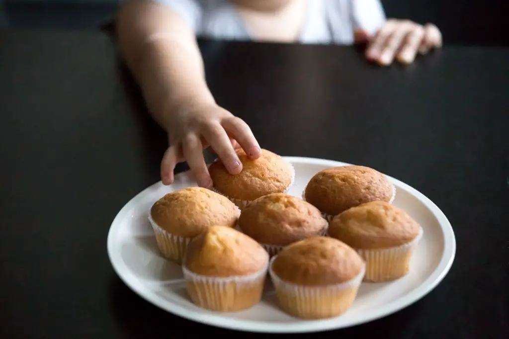 Recetas de muffins para empezar a masticar