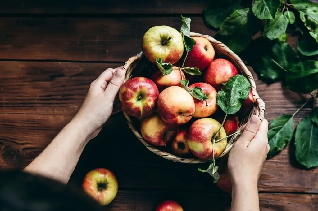 Frutas de Otoño – Invierno 🍂❄️ | Cuáles son y Qué Aportan