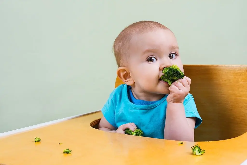 Cómo ofrecer brócoli a los bebés