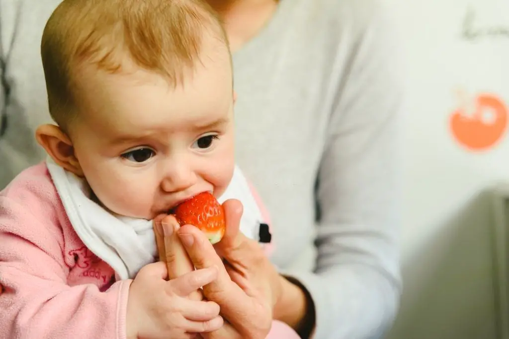 Cómo ofrecer fresas a un bebé