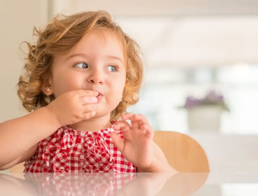 5+ Recetas para Niños que Comen Mal