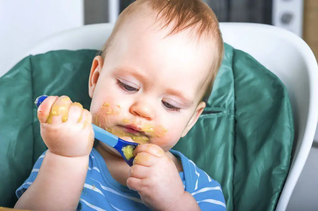 Puré de pollo para bebés 🍗 ¡Nutritivo y Muy Suave!