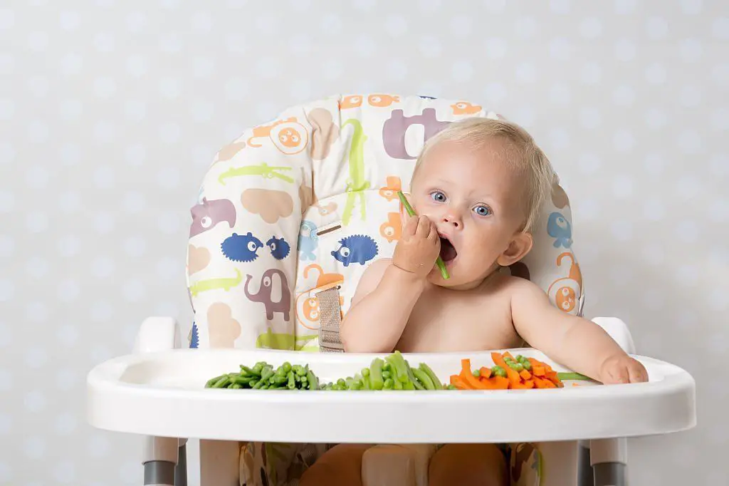 Alimentos BLW bebés 6 meses