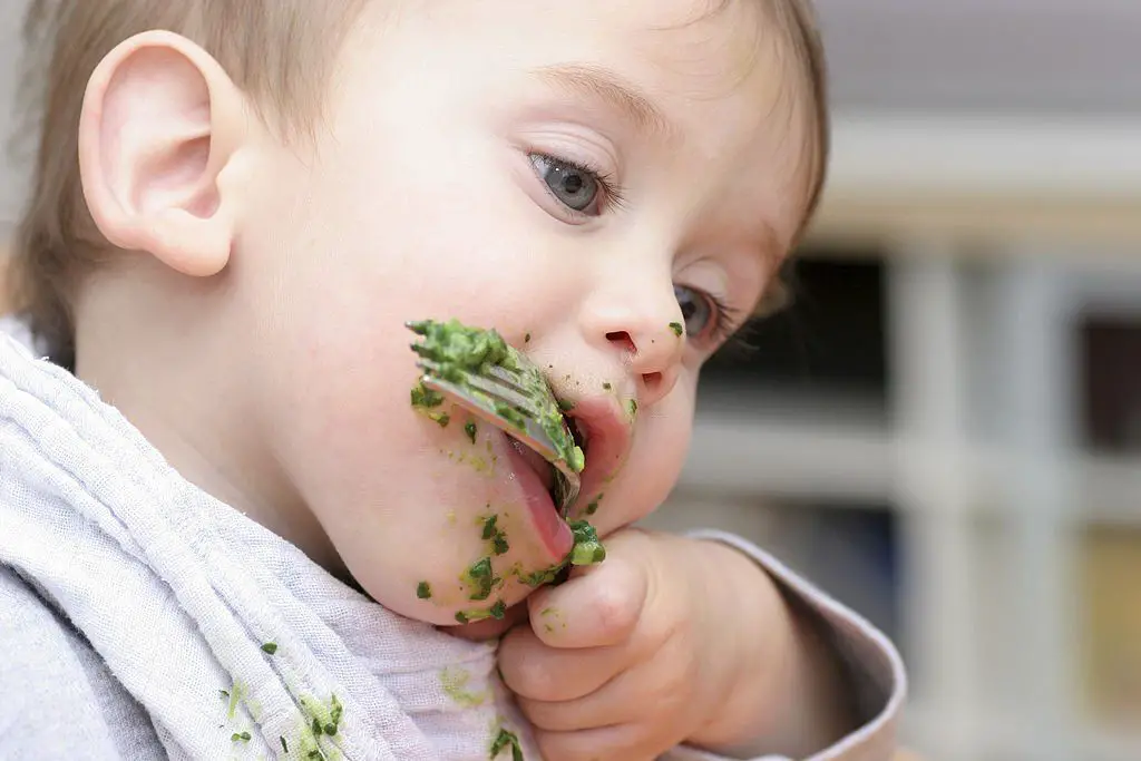 bebé comiendo espinacas
