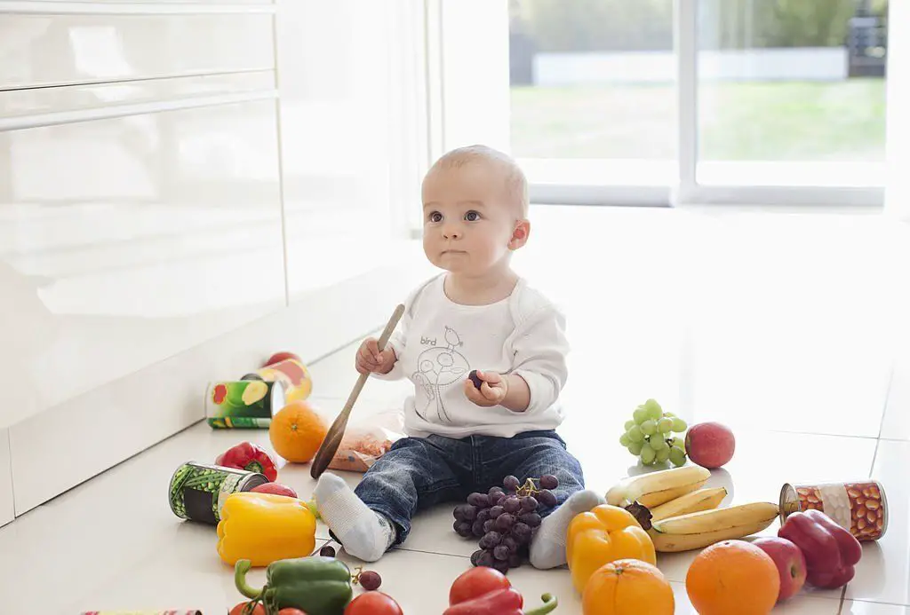 Comida y recetas bebés de 8 meses