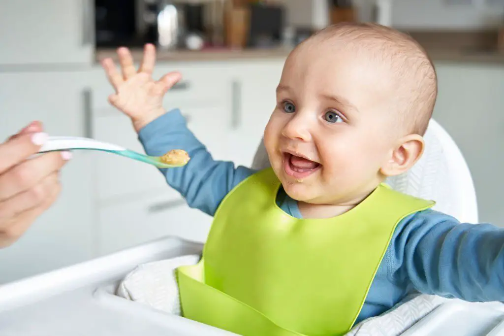 Recetas para Bebés de 8 Meses 👶 + Menú Semanal