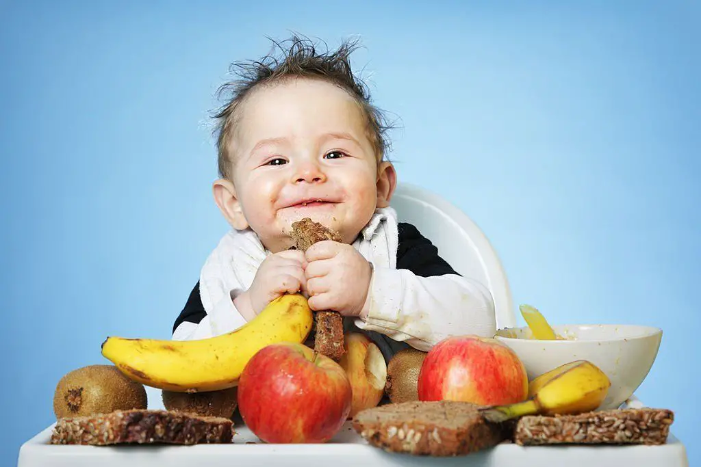 Recetas para Bebés de 10 Meses ¡Ricas y Nutritivas!