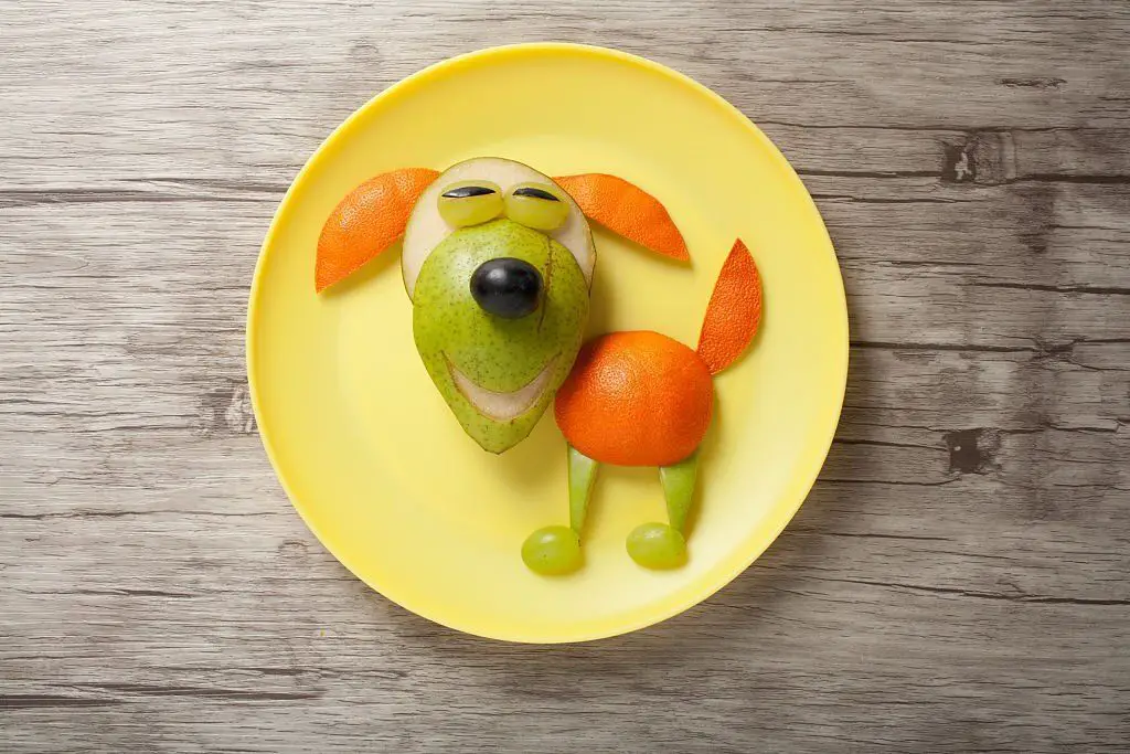 Perro con pera, naranja y uvas