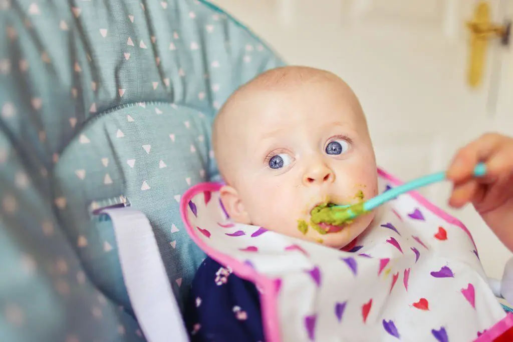 Puré de Judías Verdes para Bebés ¡Muy Nutritivo y Fácil!