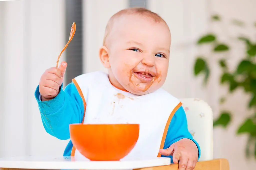 +3 Guisos para Bebés 🥄👶 ¡Nutritivos y Muy Fáciles!