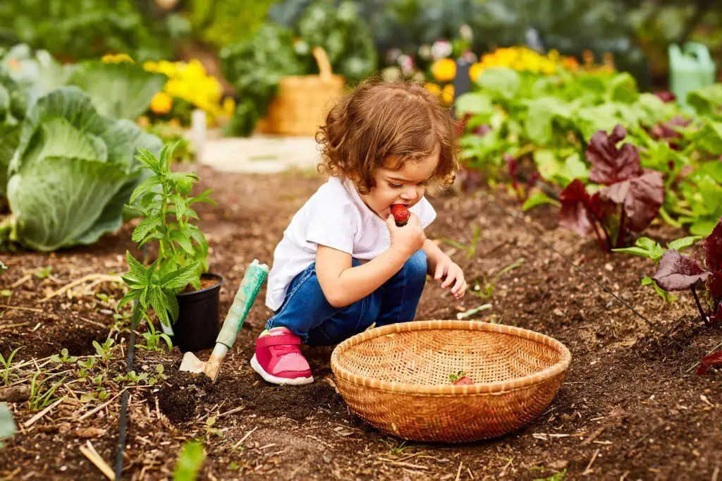 La importancia de dar comida ecológica a tu hijo