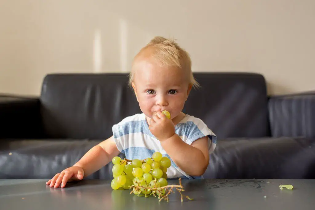 ¿Los bebés pueden comer uvas?