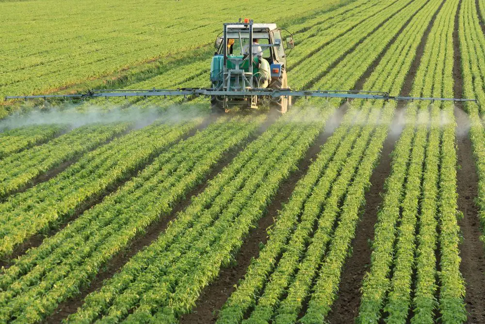 Los efectos de los pesticidas en la salud humana y en el medio ambiente