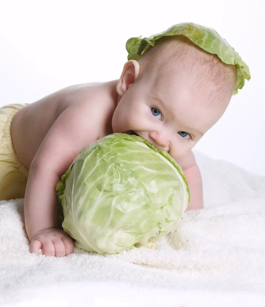Beneficios del repollo para la salud del bebé