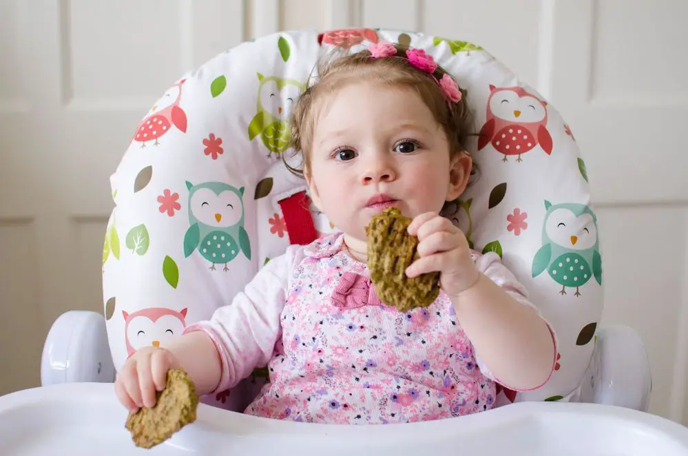 Carne Picada para Bebés | Recetas Fáciles y Consejos
