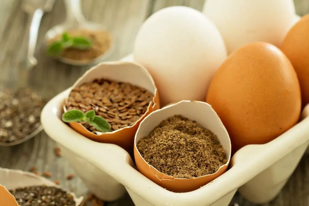 Huevo Vegano | Ingredientes y Alternativas Fáciles