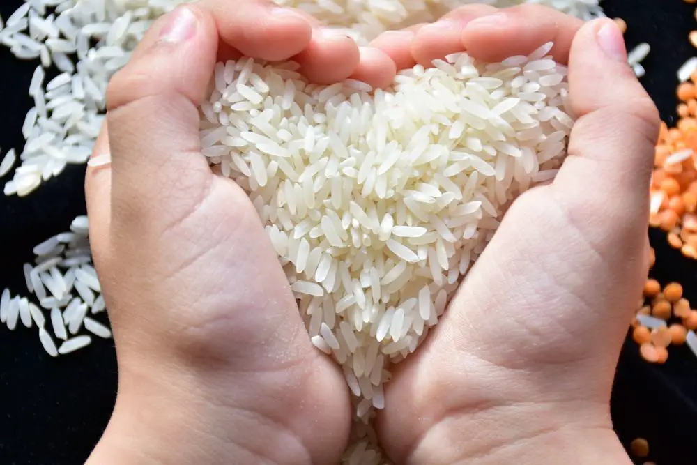 Precauciones y consejos al introducir arroz en la dieta de bebés y niños pequeños