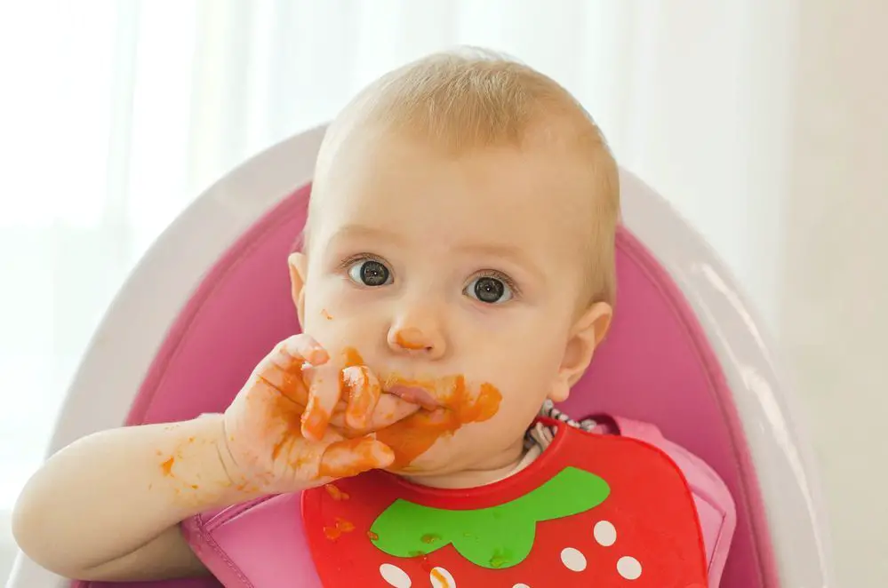 Puré de Pavo para Bebés | Una Receta Nutritiva y Deliciosa