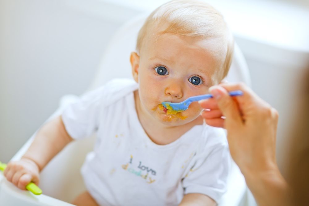 Purés para Bebés de 6 Meses | Recetas Fáciles y Nutritivas