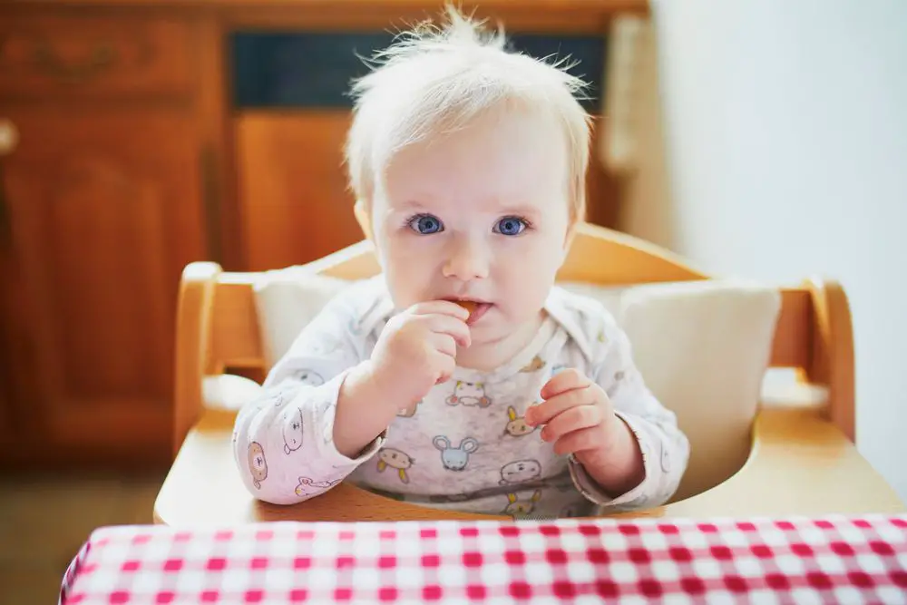 Quiche para Bebés BLW | Receta Fácil y Nutritiva +9 Meses