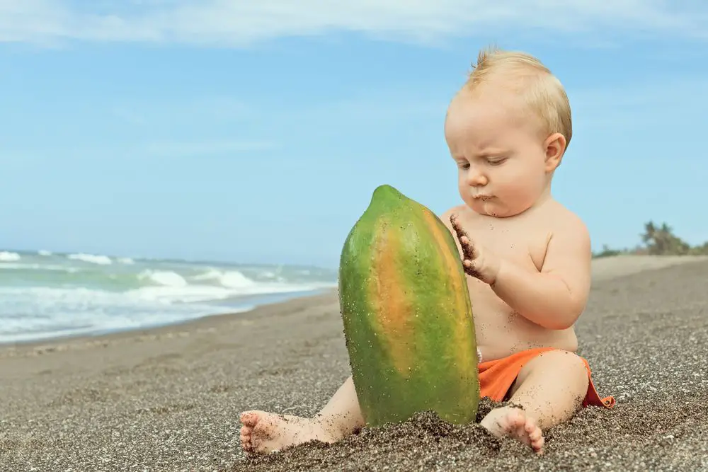 Recetas con papaya para bebés