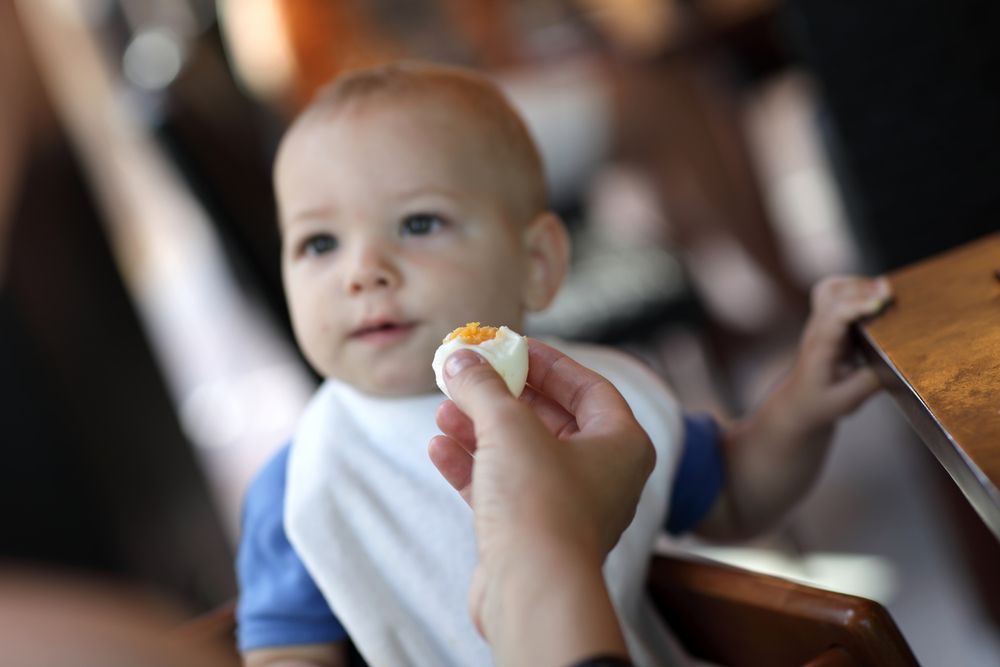 Alimentos con Más Riesgo de Salmonelosis en Bebés