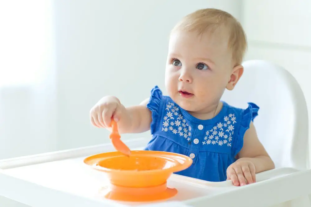 +3 Recetas de Sopa Fría para Bebés