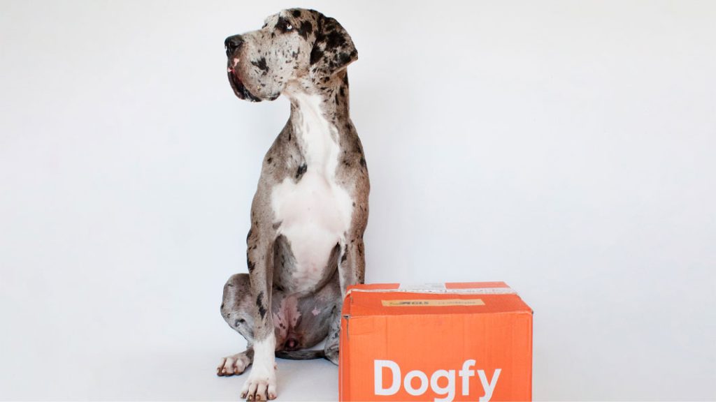 Dogfy Diet comida para perros