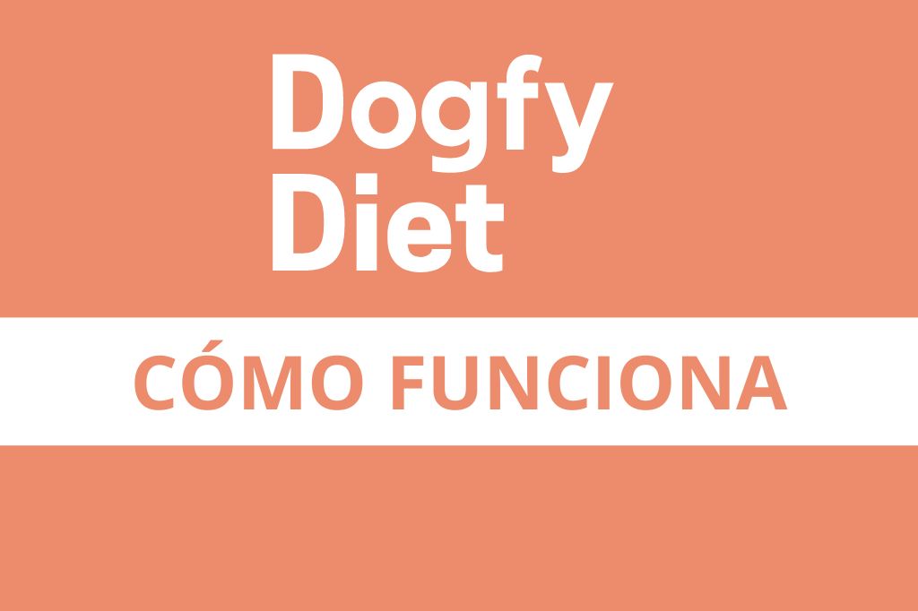 Dogfy Diet cómo funciona